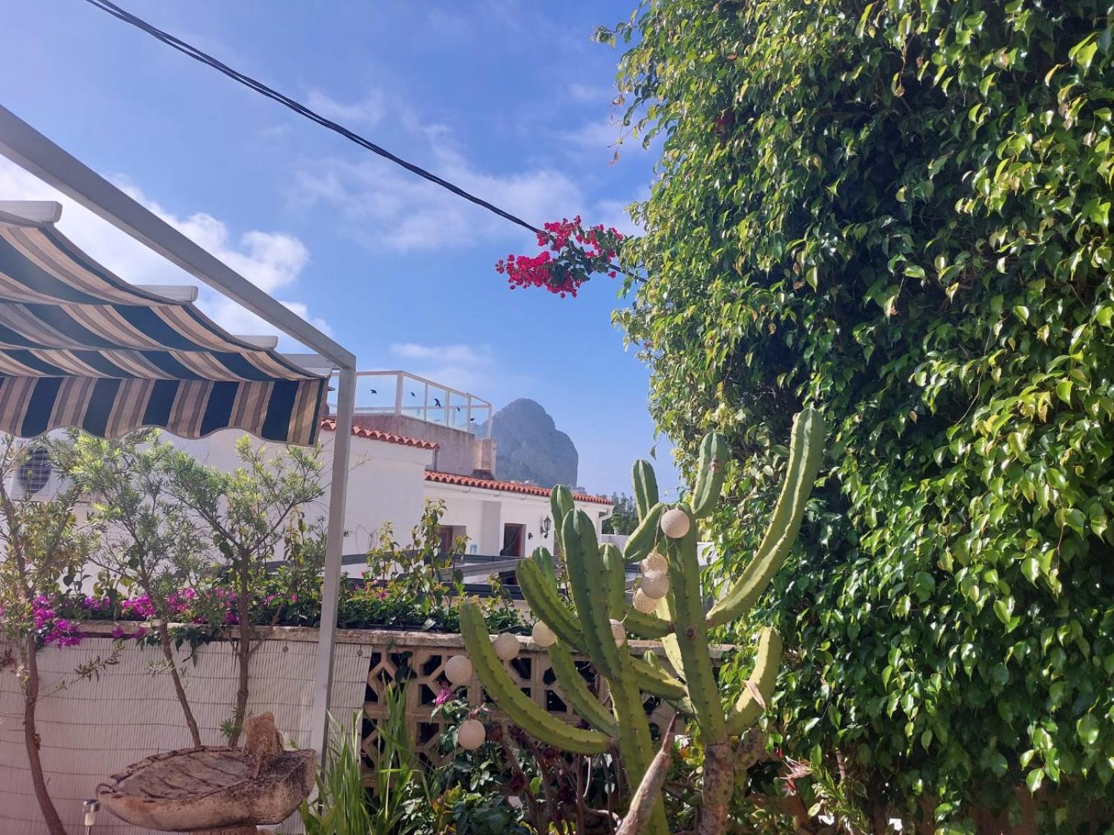 Almendros Con Piscina Privada Holiday home